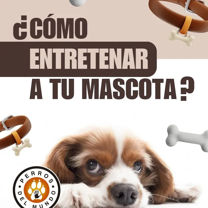 Arte de entrenamiento para mascota