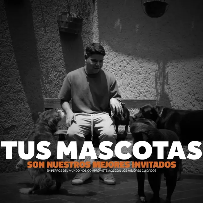 Persona con perros