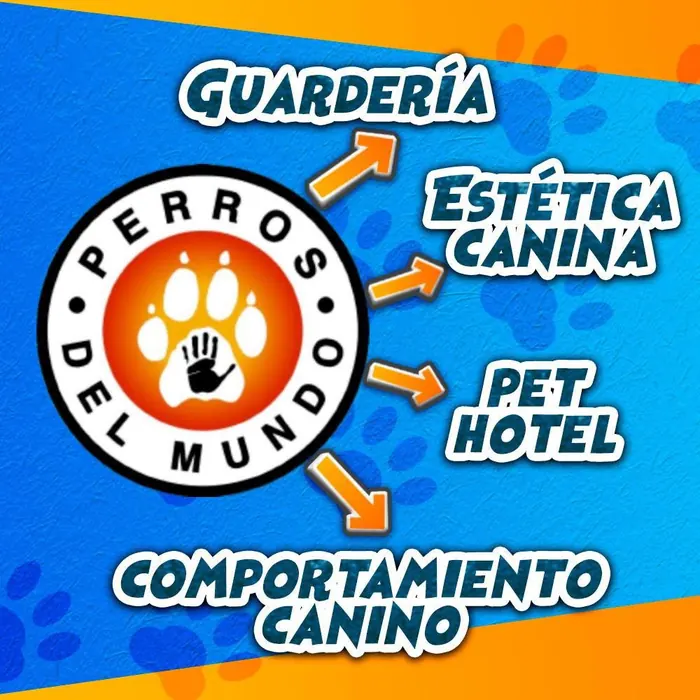 Servicios Perros del Mundo